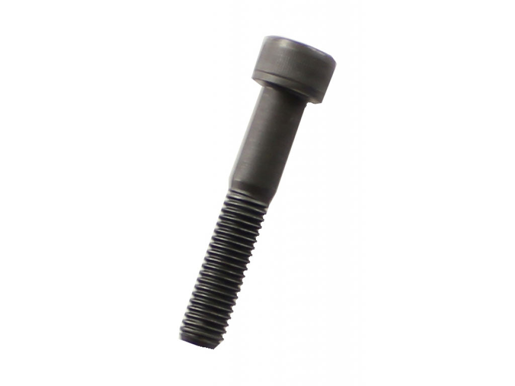 SCKT SCREW 10X55