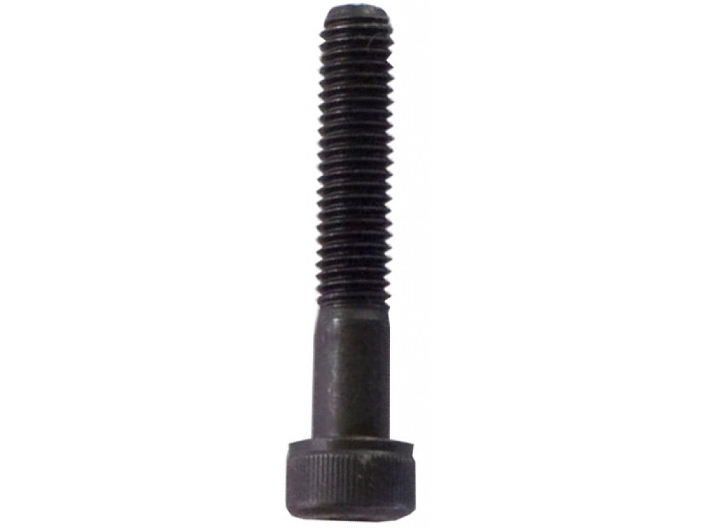 SCKT SCREW 10X60