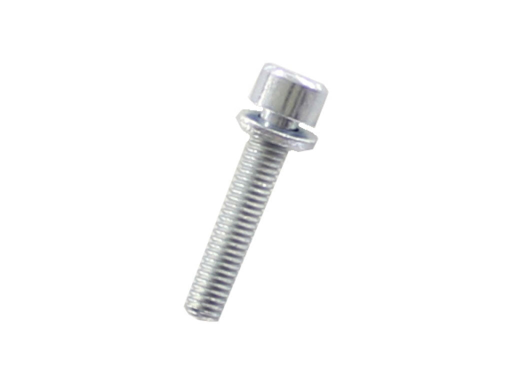 COMBINATION SCREW 6X