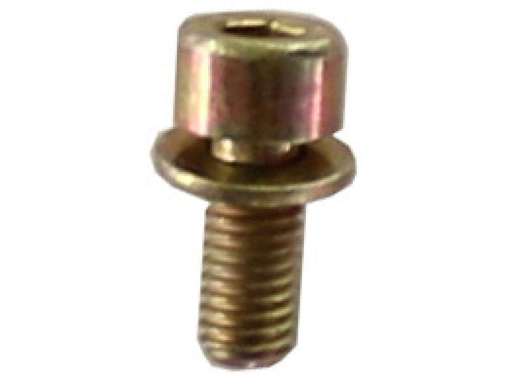 SCREW 5 X 12