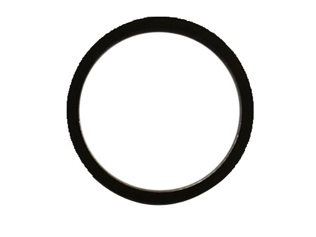 SEAL RING