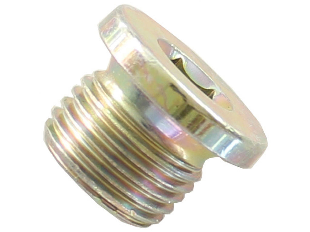 SCREW PLUG, WATER DI