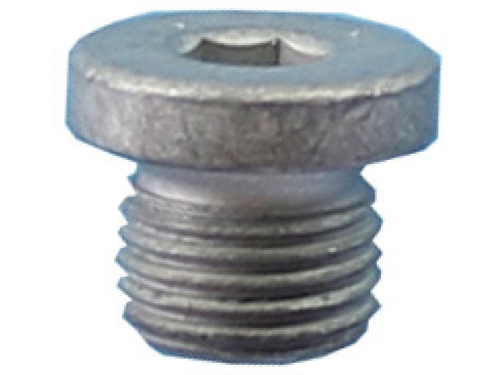 SCREW PLUG