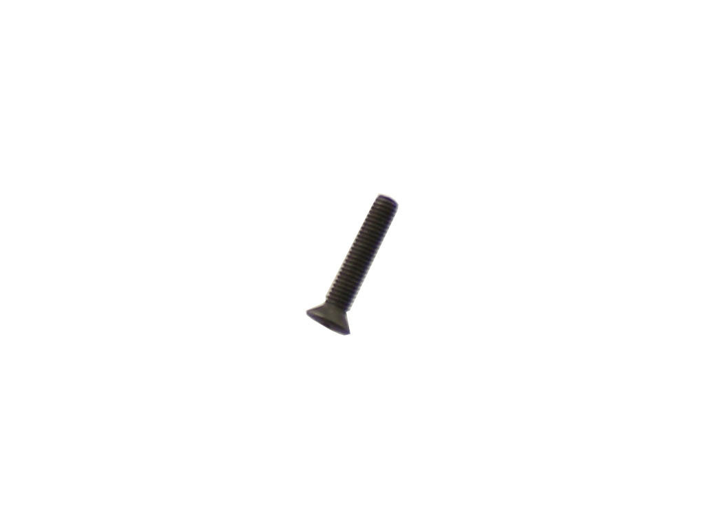 SCREW 5 X 25