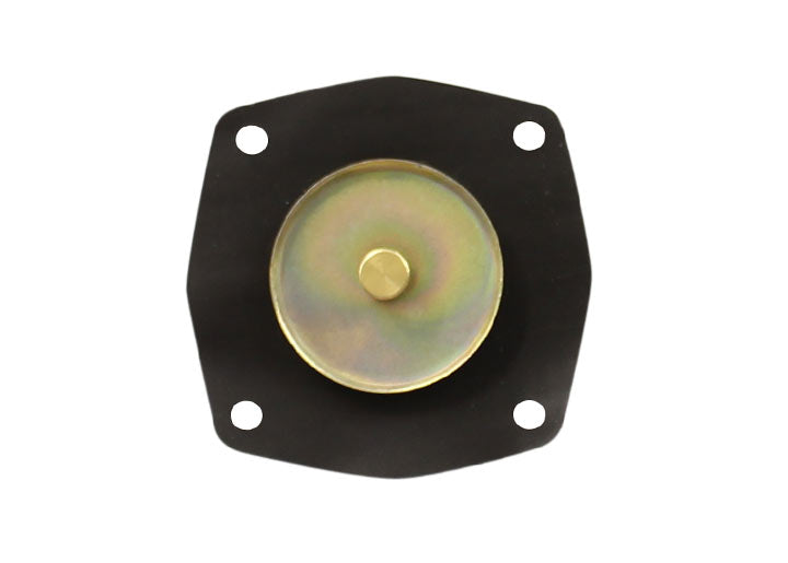 DIAPHRAGM