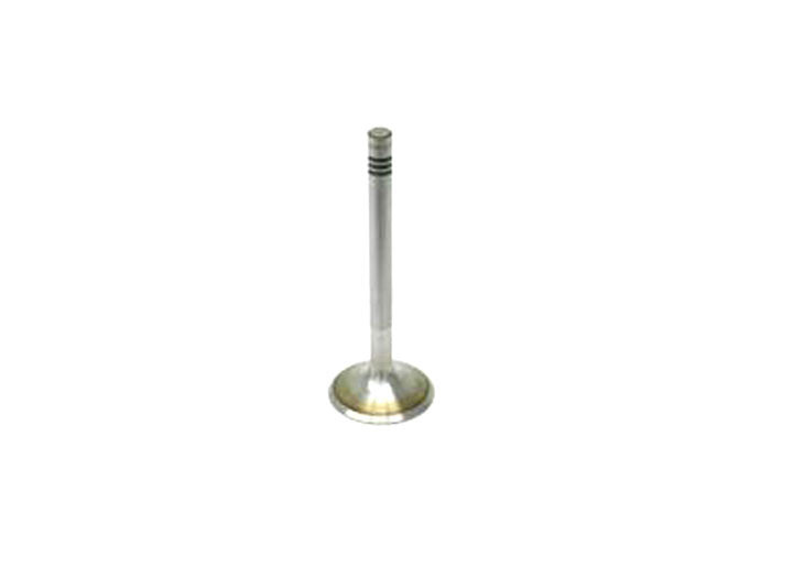 INTAKE VALVE