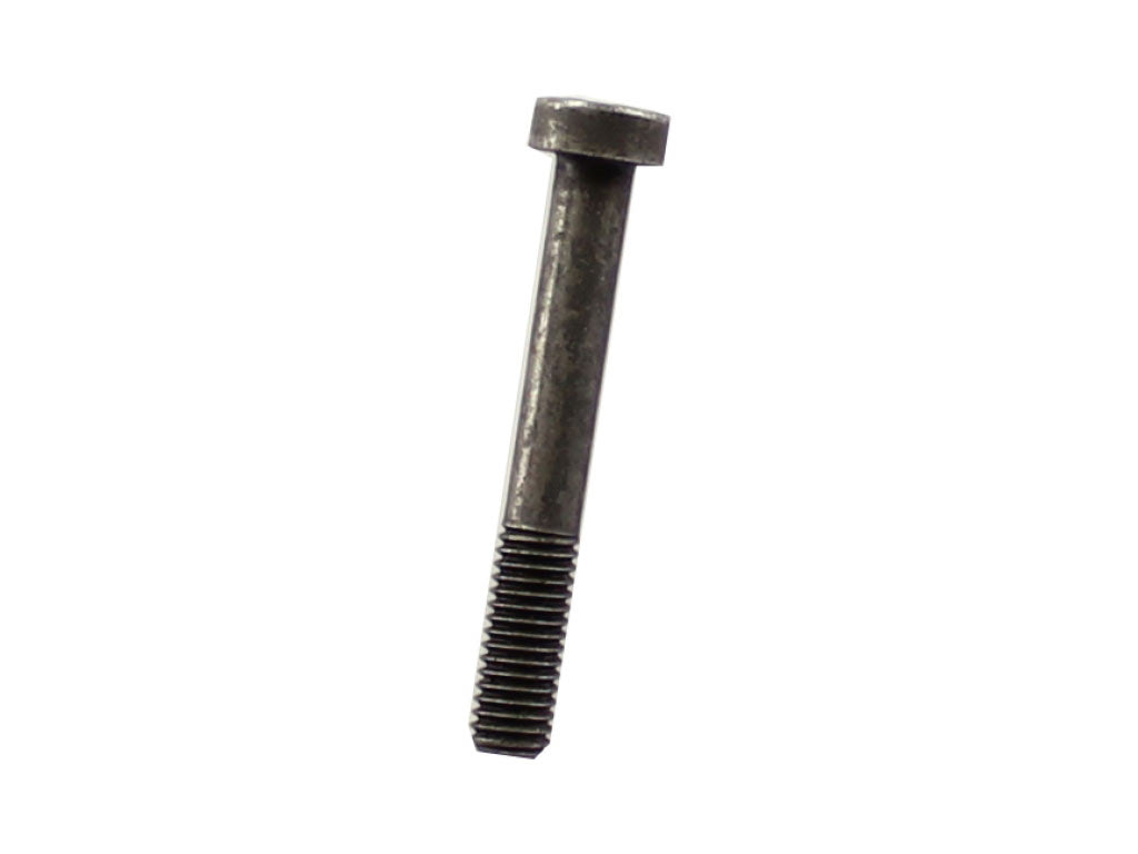 SCKT SCREW 8X55
