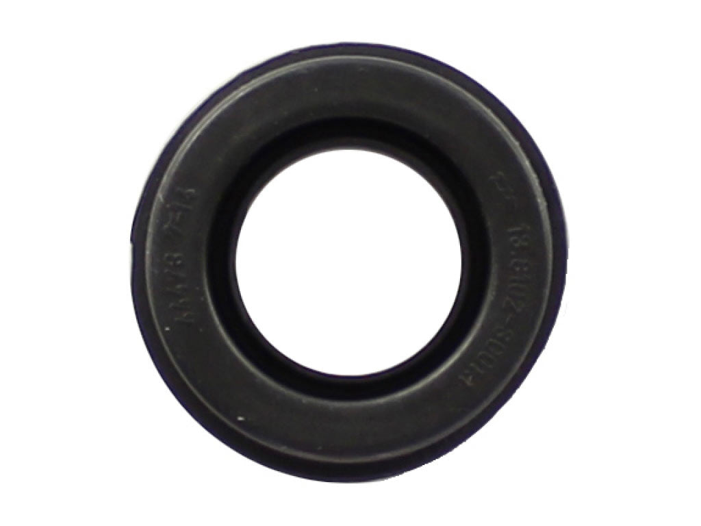 CALIPER CAP