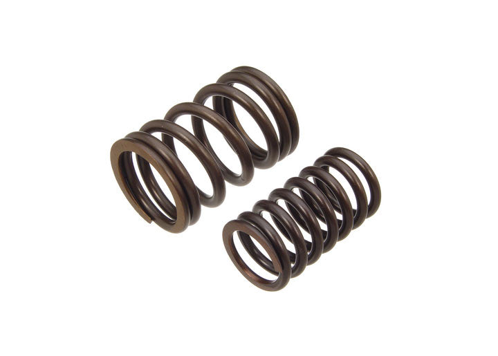 VALVE SPRING SET