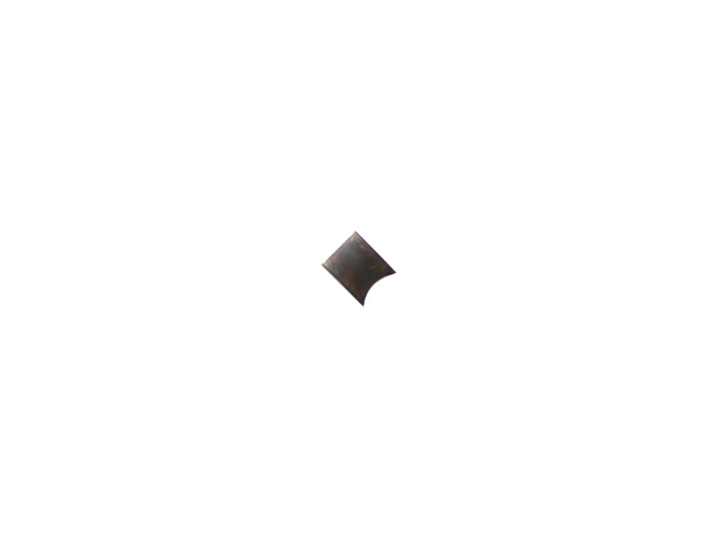 SPRING CLIP