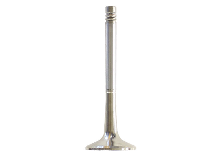 EXHAUST VALVE