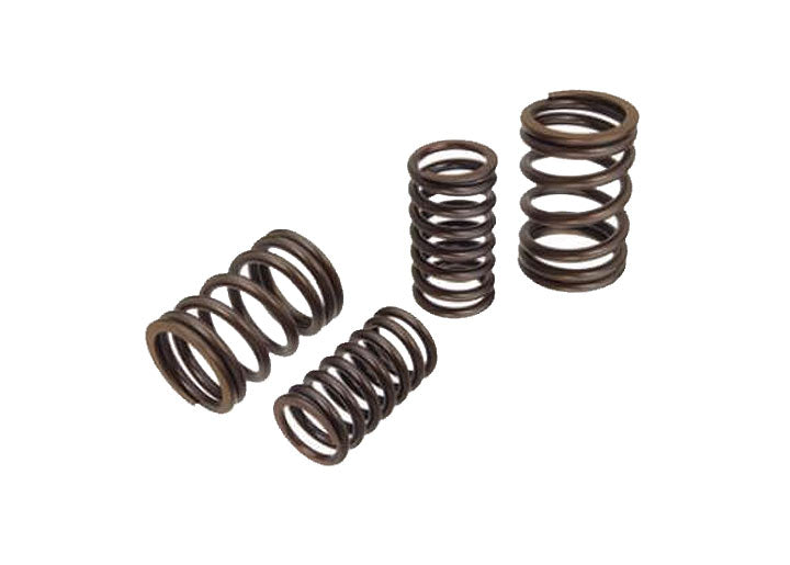 VALVE SPRING SET