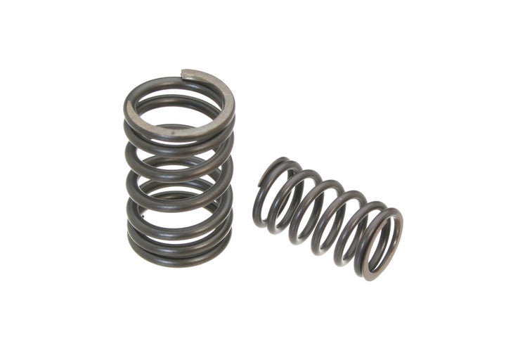 SET OF VALVE SPRINGS