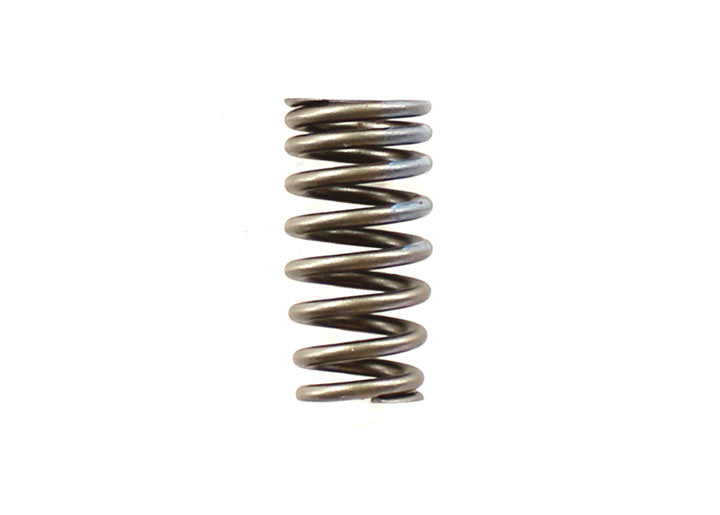 VALVE SPRING