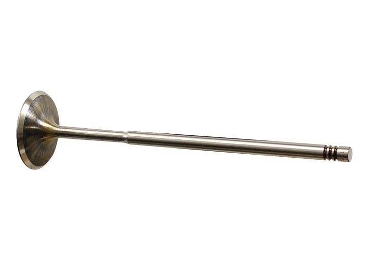 INTAKE VALVE