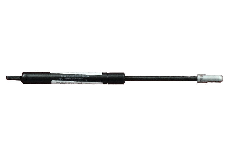 GAS-FILLED STRUT