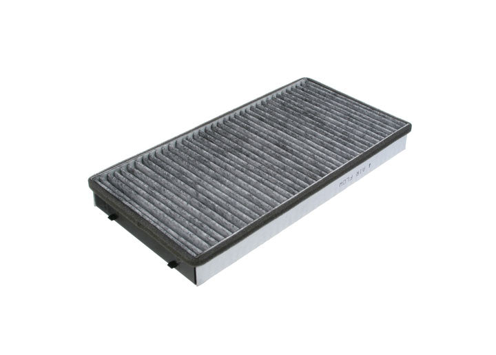POLLEN FILTER