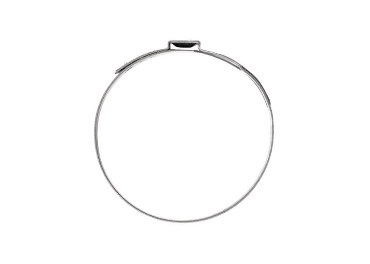 RING CLAMP