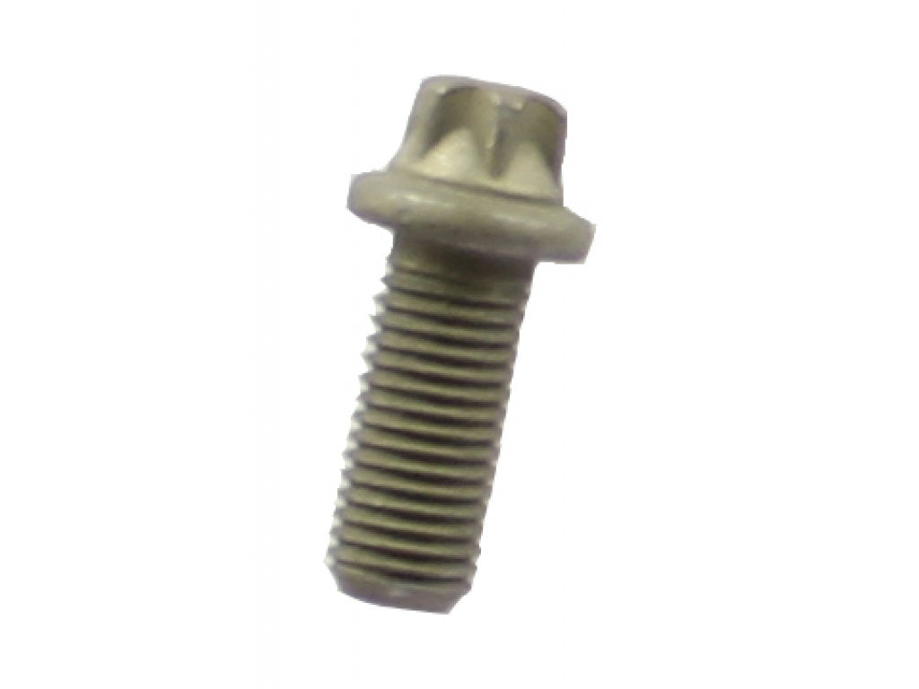 TORX SCREW 10 X 23.5