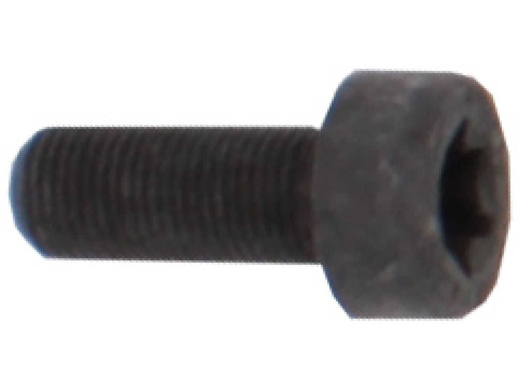 PAN-HEAD SCREW 10X25