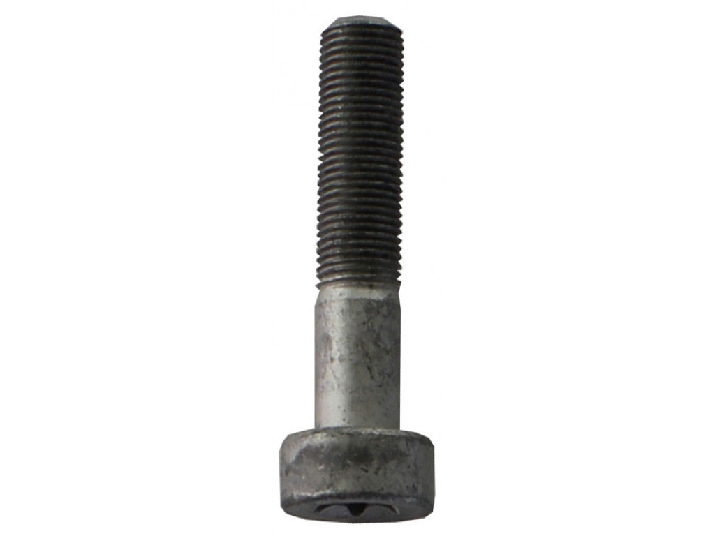 PAN-HEAD SCREW 10x50