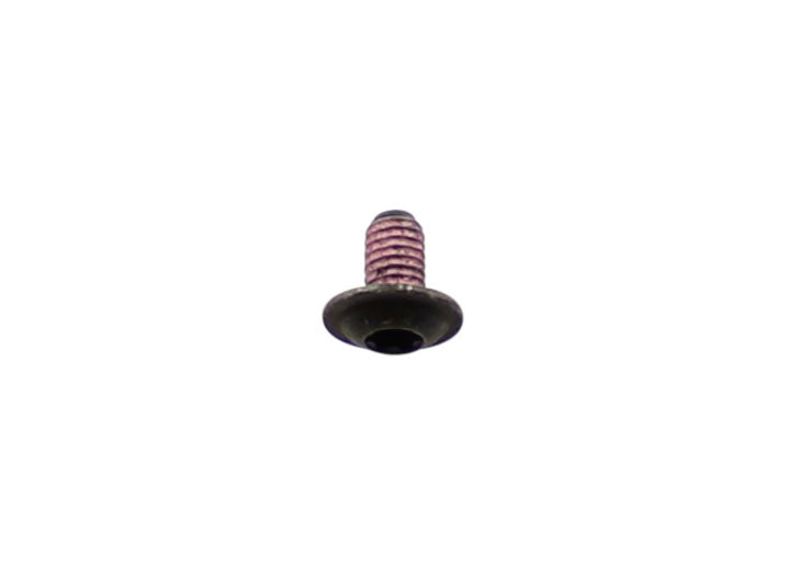 OVAL-HEAD SCREW 6X10