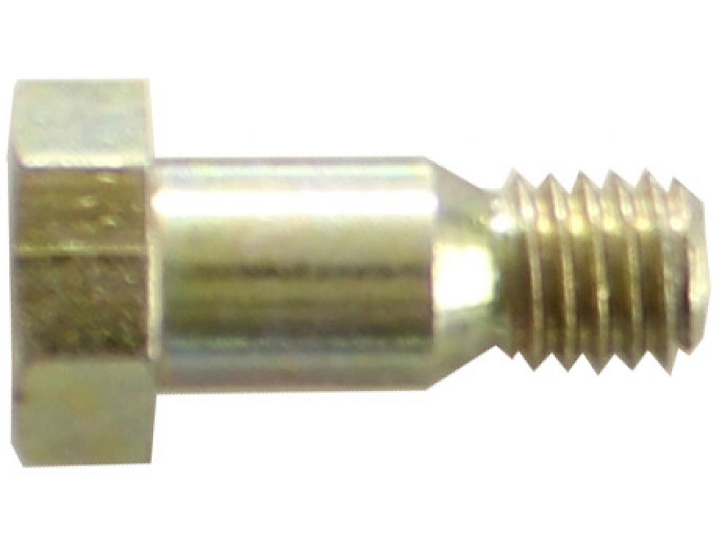 SCREW 8 X 60