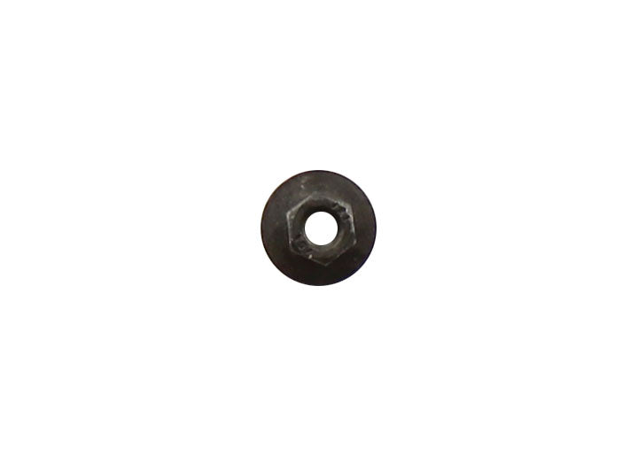 HEXAGON NUT