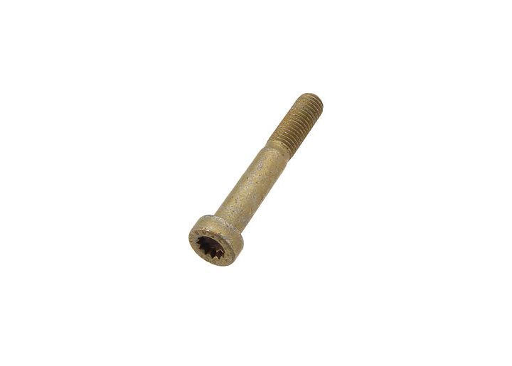 SCKT SCREW 10X65