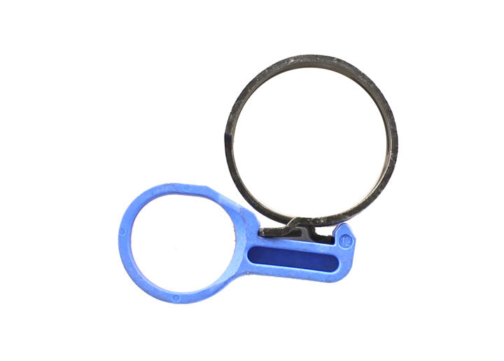 CLIP