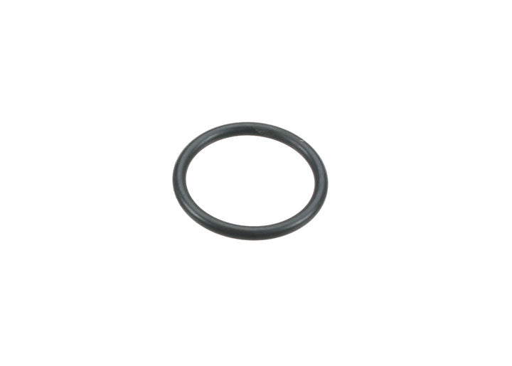 RUBBER O-RING