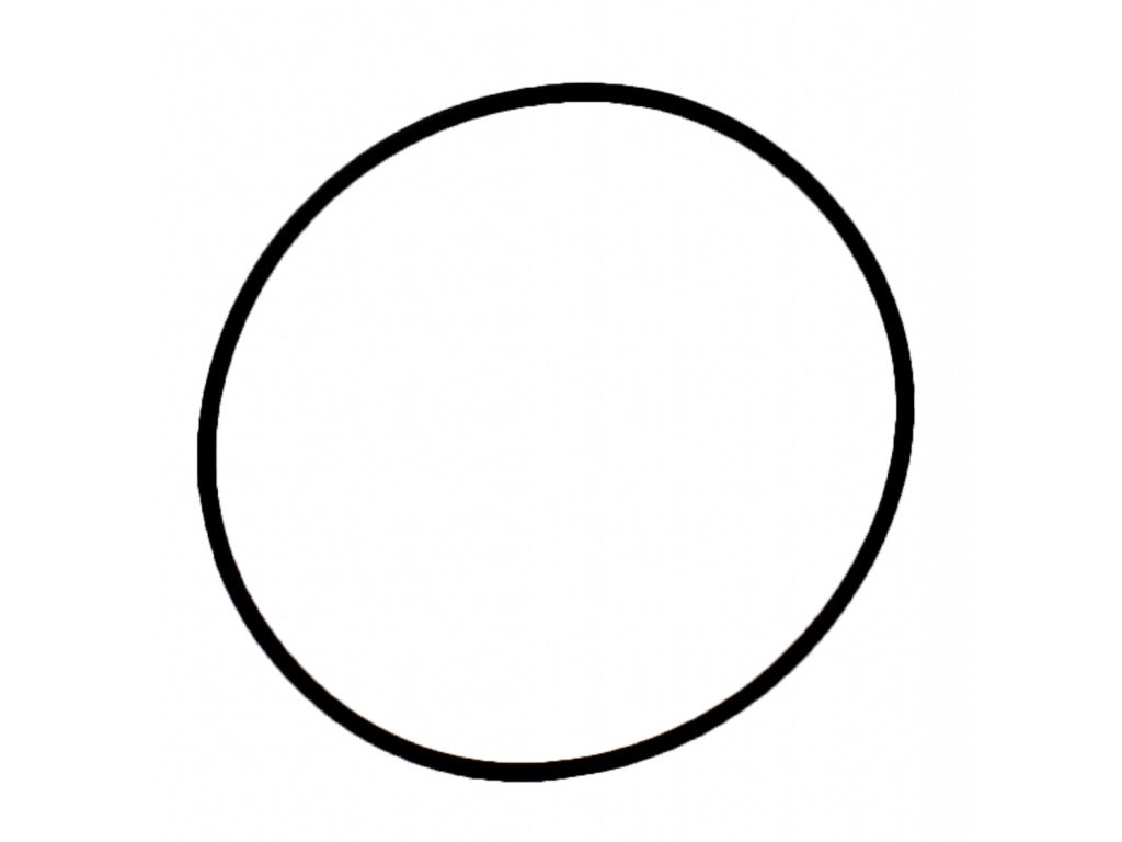 O-RING