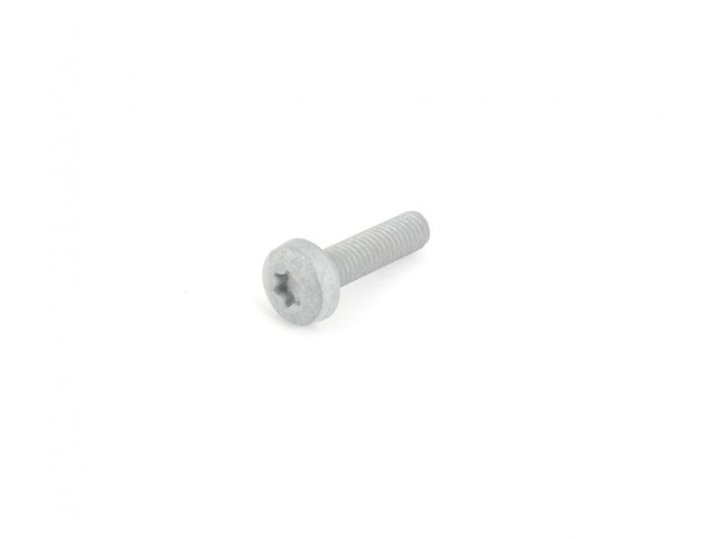 RND-HEAD SCREW 6X25