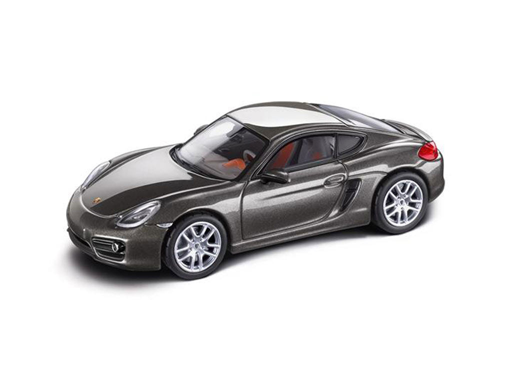 MODEL CAR CAYMAN 1:4