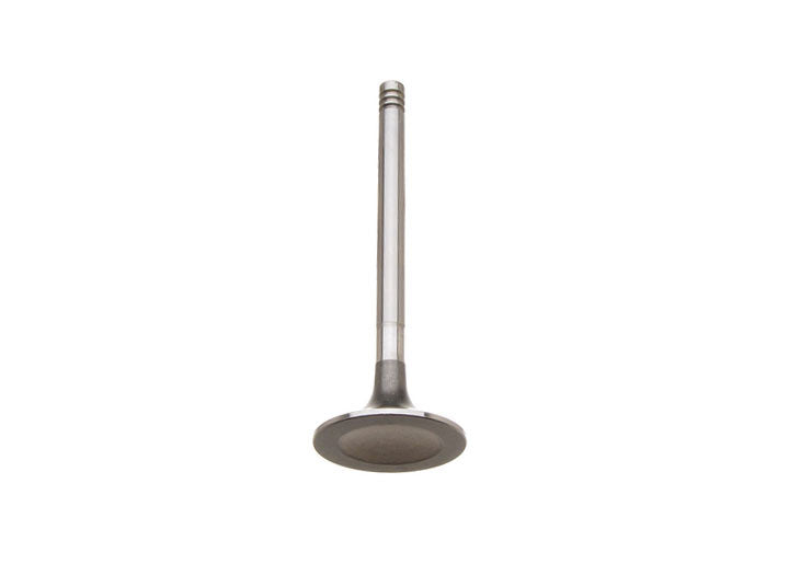trw Intake Valve