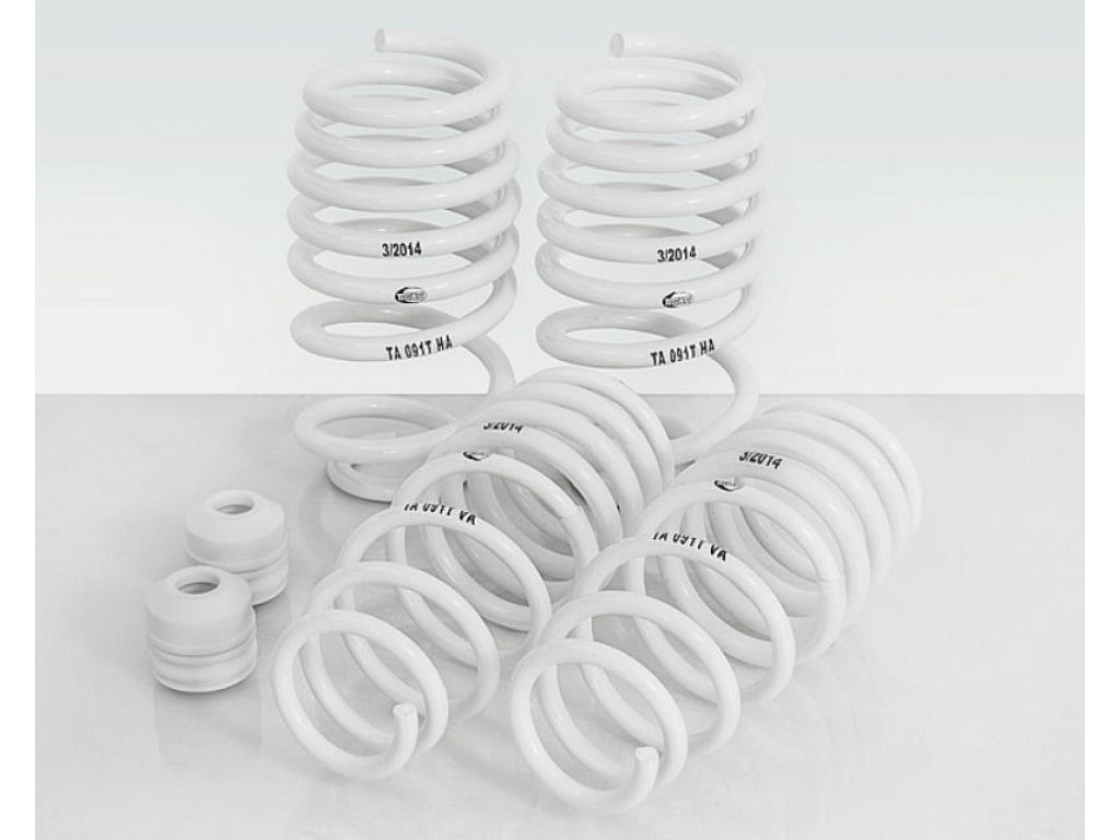 TechArt Sport Spring Kit
