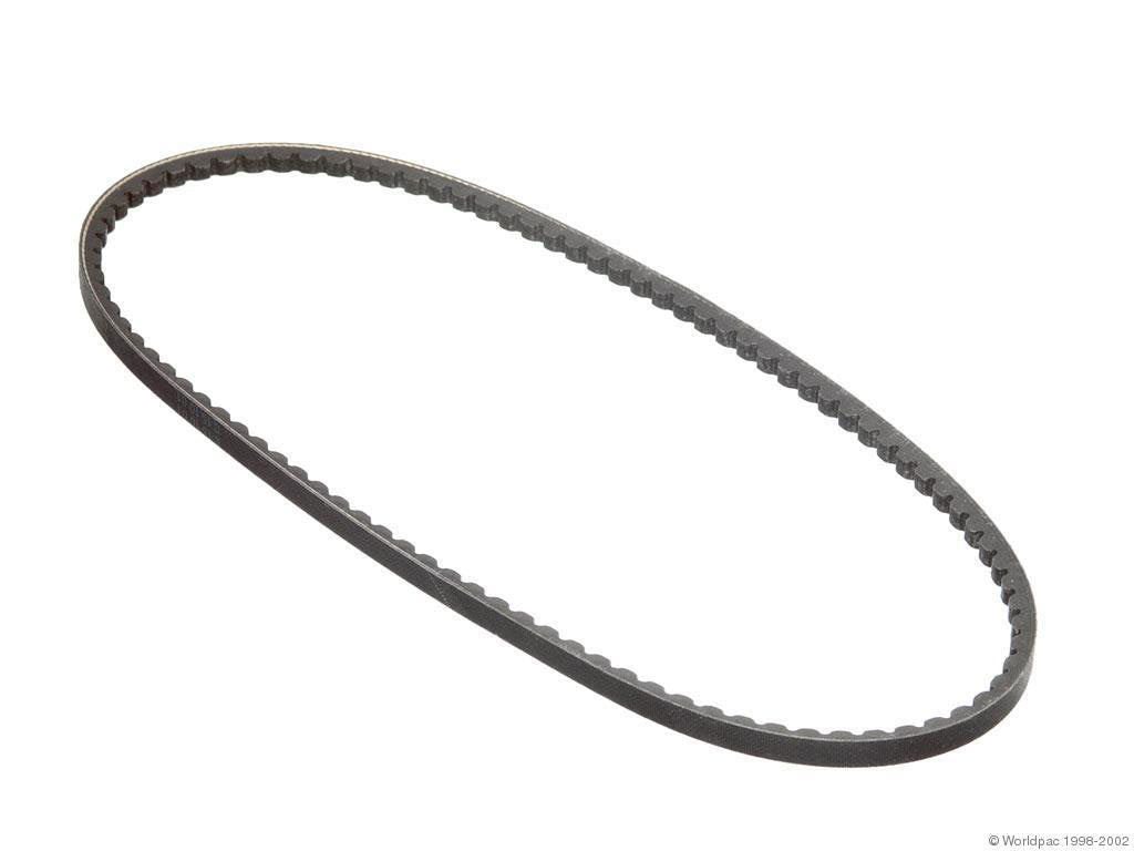 Drive Belt