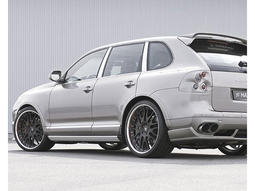 Hamann Lowering System