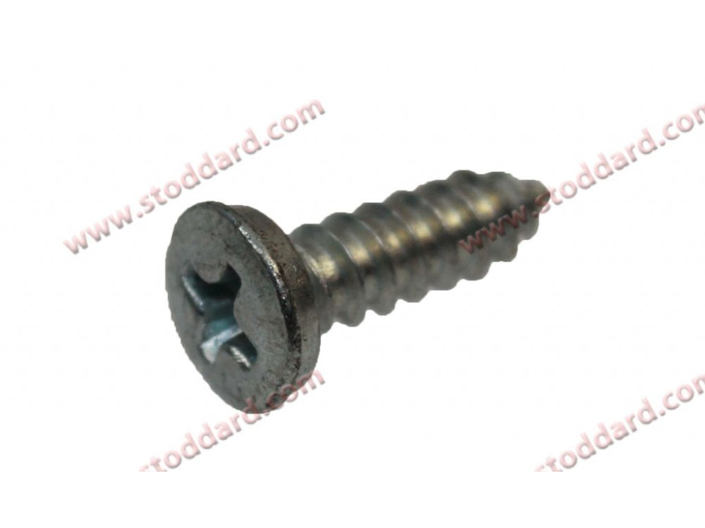 Self Tapping Screw