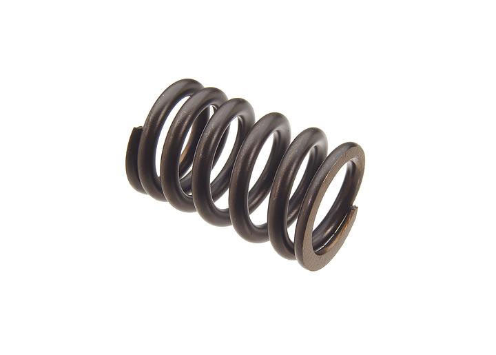 OE Supplier VALVE SPRING