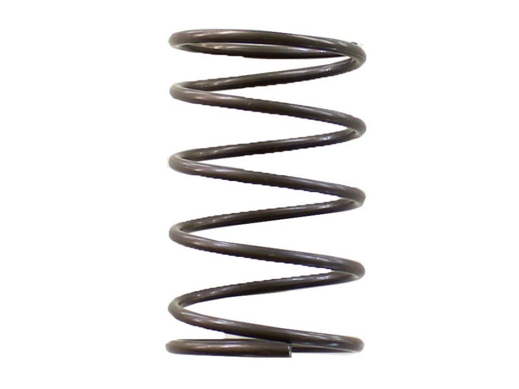 Spring, 34mm both ends. Fits 356B.