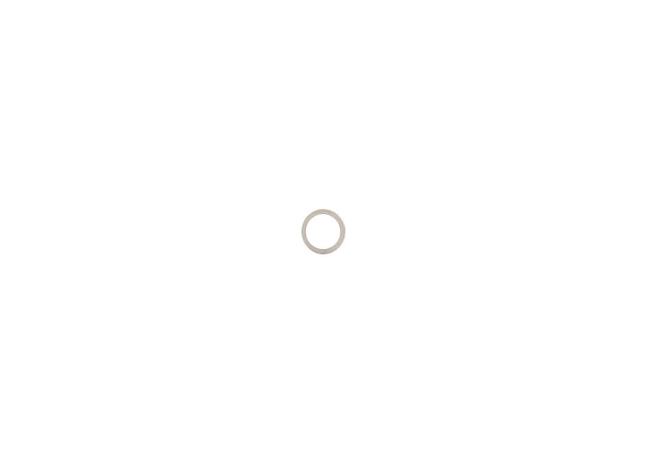 FISCHER & PLATH SEAL RING