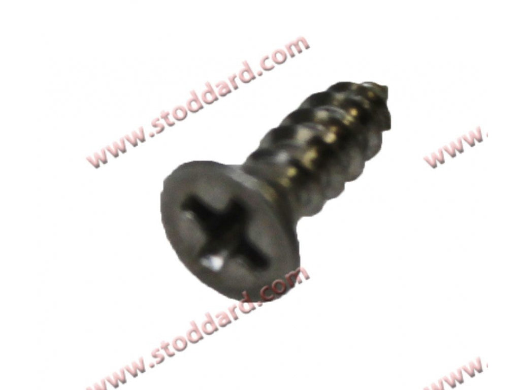 2.9X9.5 Screw