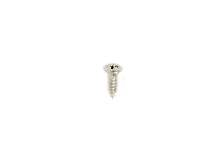 CENTER TRAY 3.9x13 v head SCREW in chrome