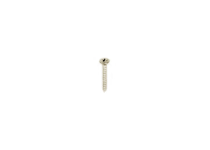 2.9x19 oval head Screw