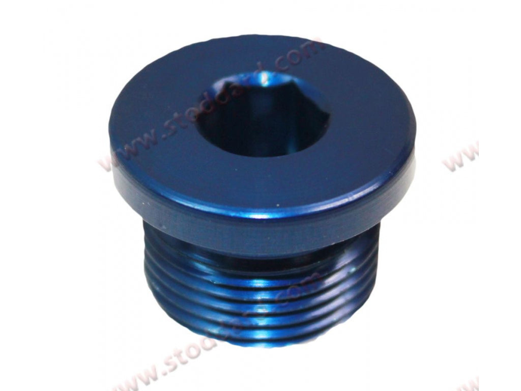 Transmission Screw Plug