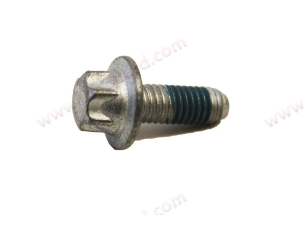 Torx Hex Bolt