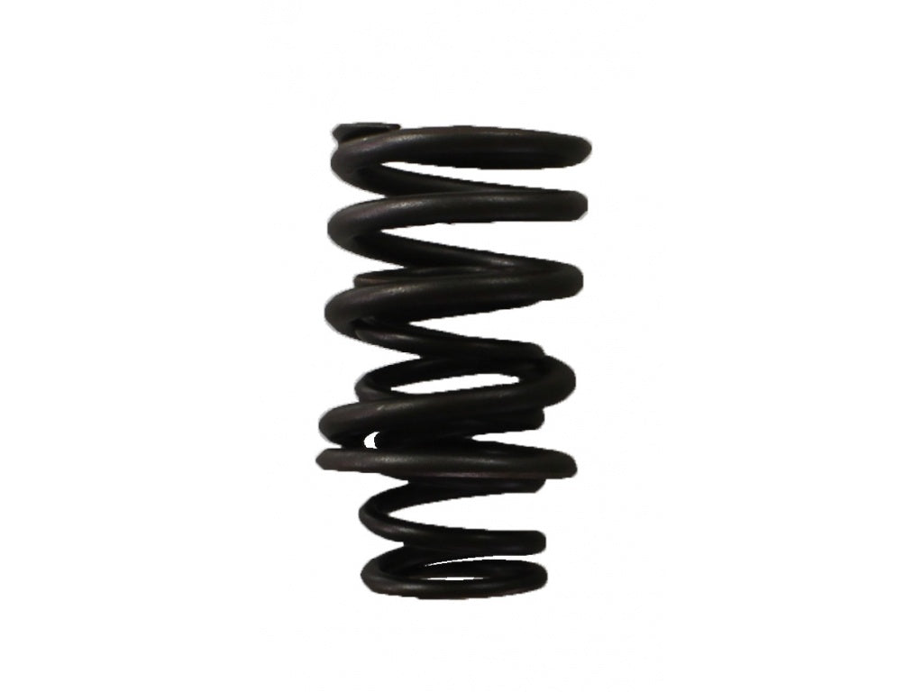O.E.M. SET OF VALVE SPRINGS