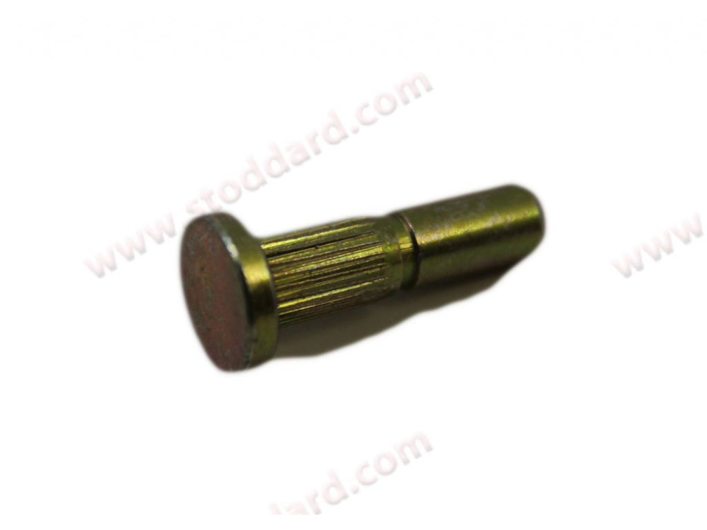 Door Check Stay Pin / Bolt