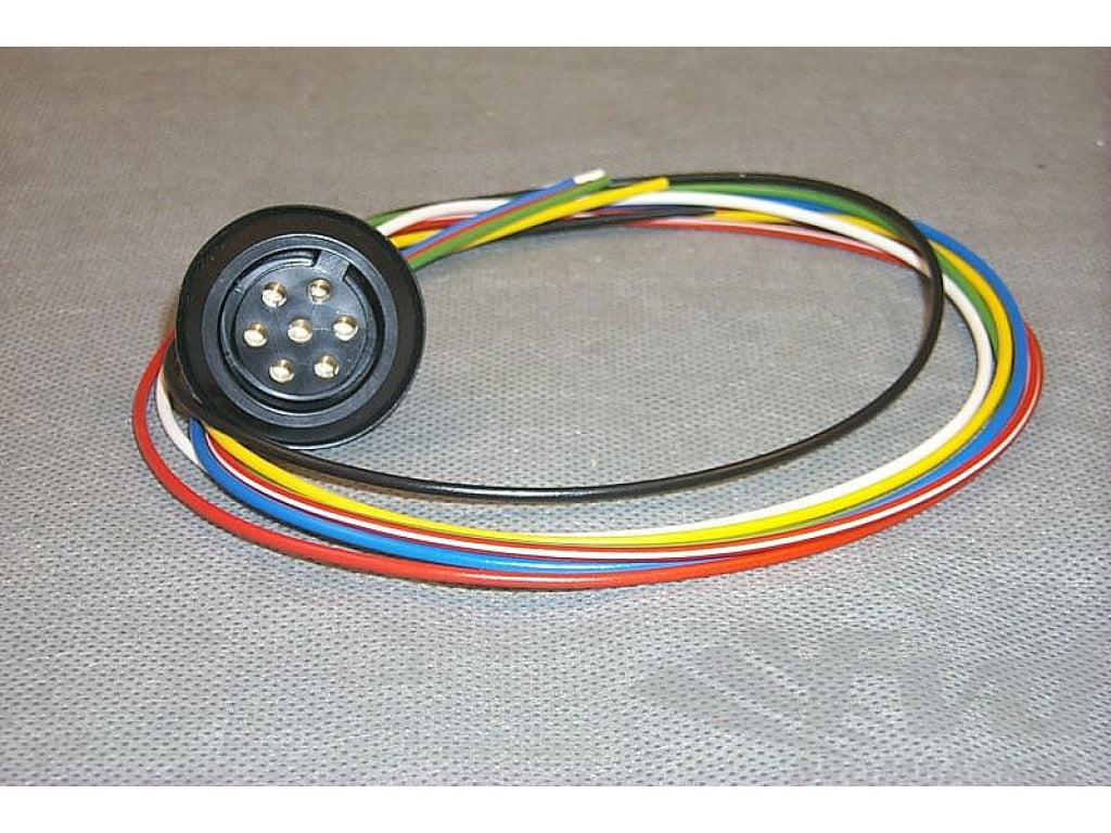 Wiring Harness with Socket